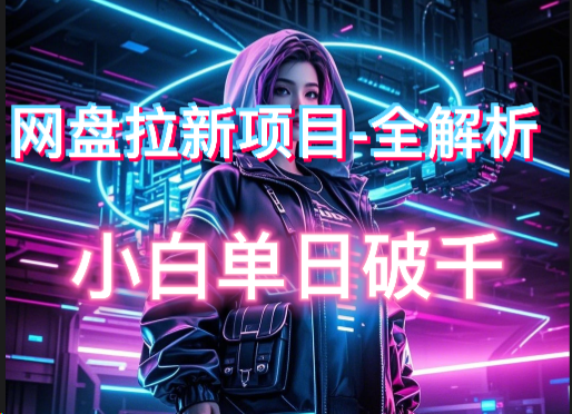 网盘拉新小白日入破1000–项目解析全流程—实操上手 -互联网项目分析基地-创业兼职副业 快讯站