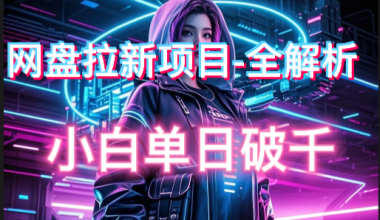 网盘拉新小白日入破1000–项目解析全流程—实操上手 -互联网项目分析基地-创业兼职副业 快讯站