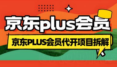 免费代开京东Plus会员项目拆解–流程介绍 -互联网项目分析基地-创业兼职副业 快讯站